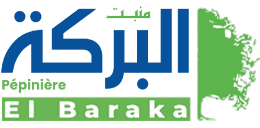 Al Baraka Pépinières