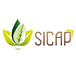 Sicap